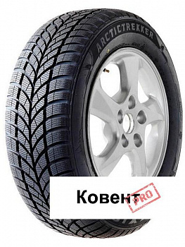 Шины Maxxis WP-05 Arctic Trekker 175/55 R15 77T в Перми